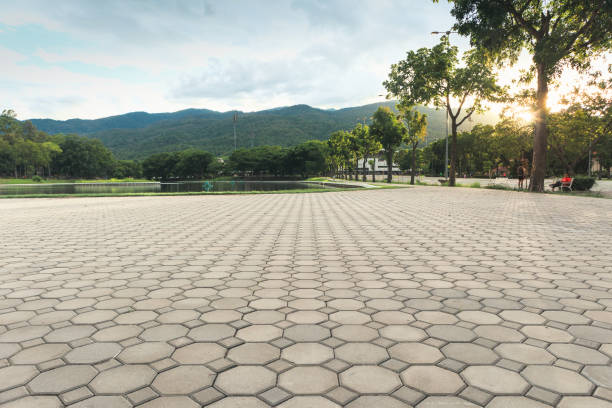 Best Driveway Pavers Near Me  in Nash, TX